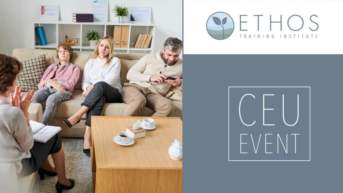 a family in family therapy